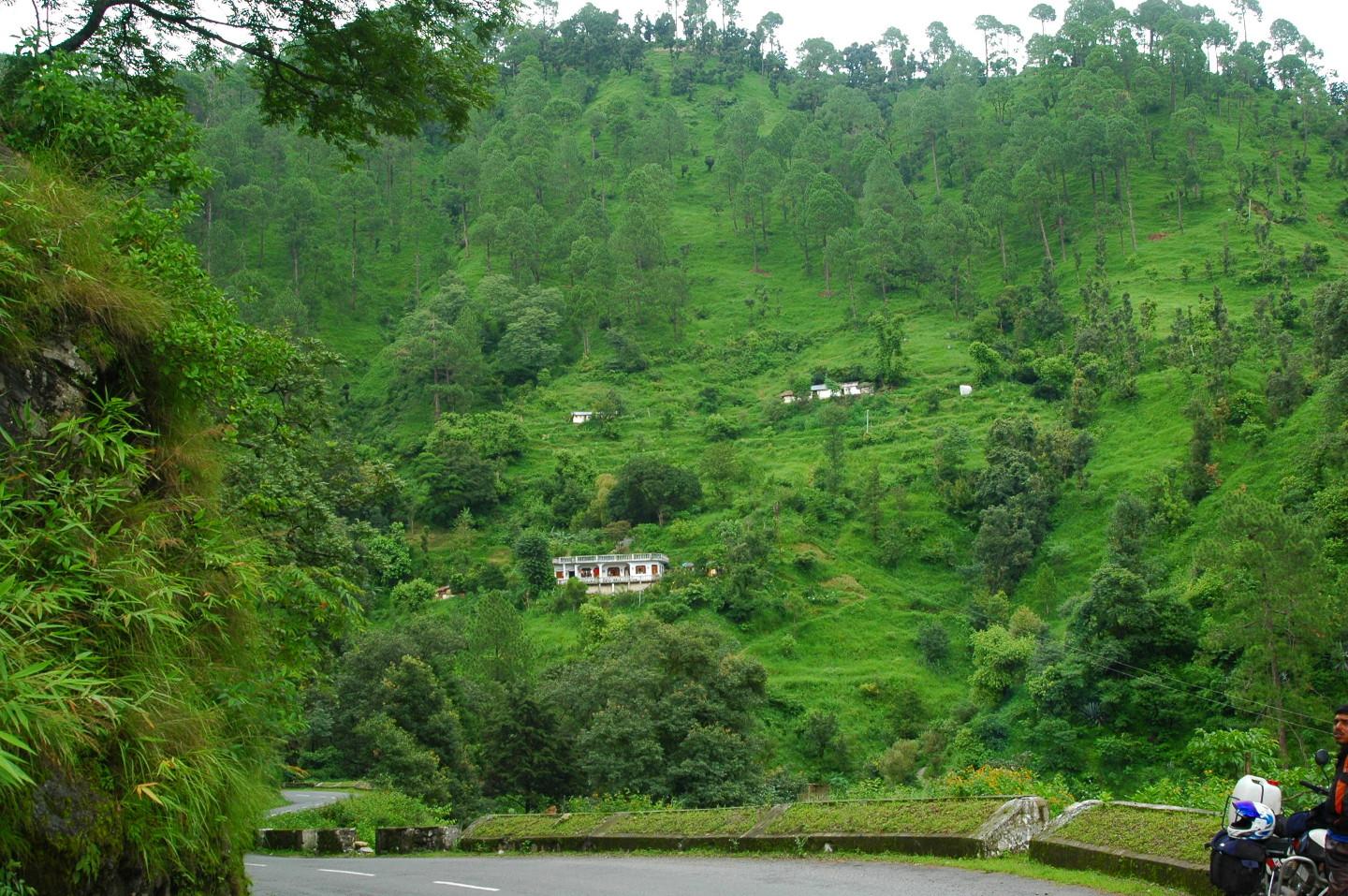 DSC_0020.JPG