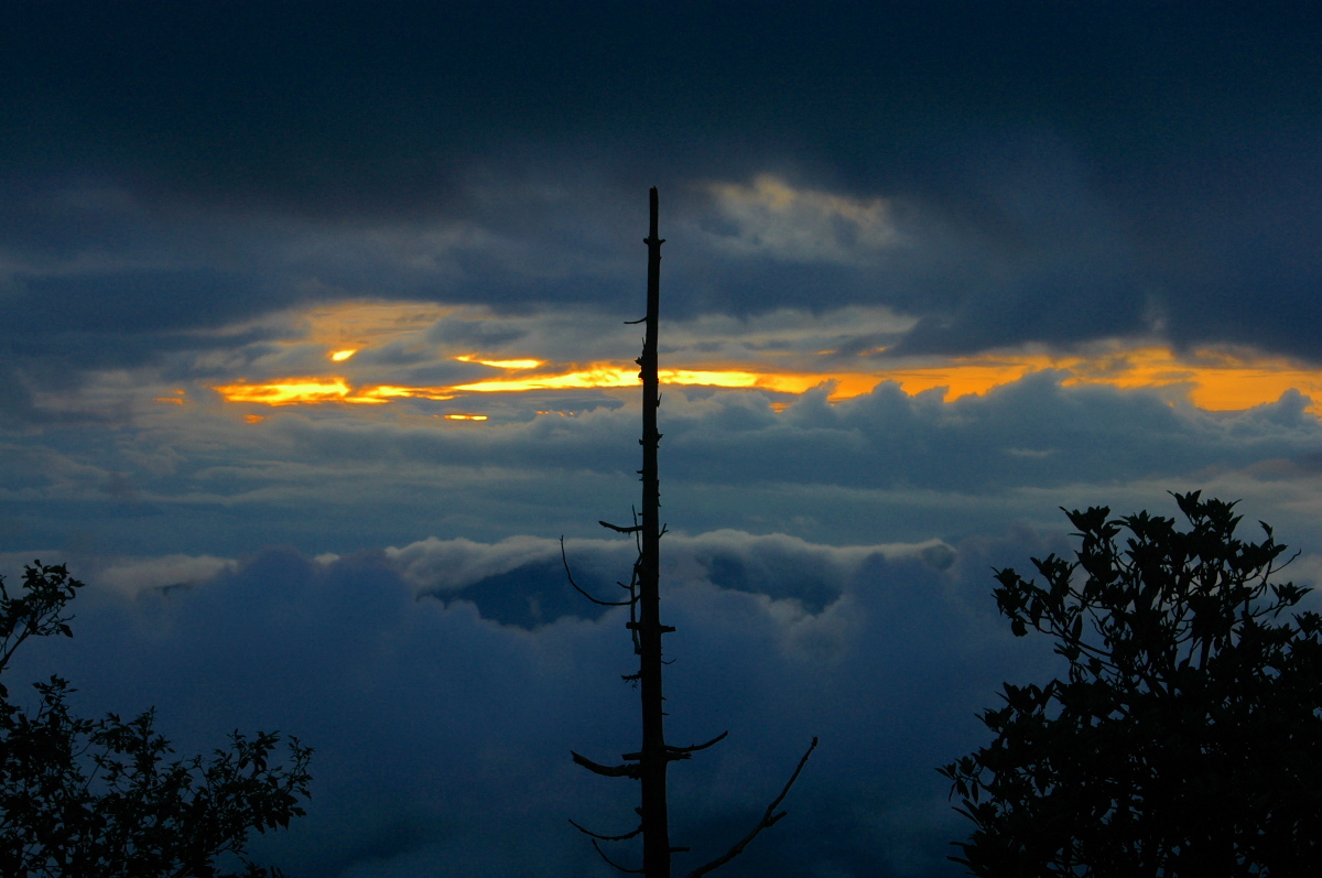 DSC_0069.JPG
