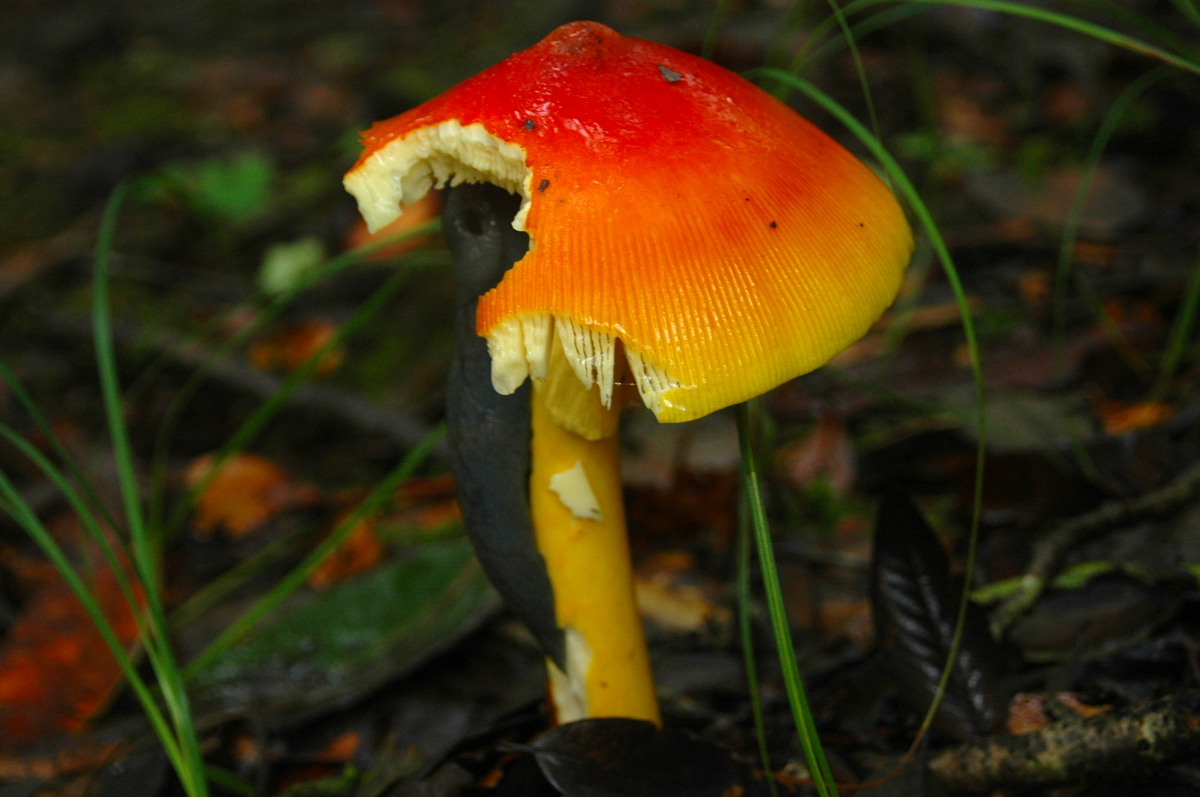 DSC_0074.JPG