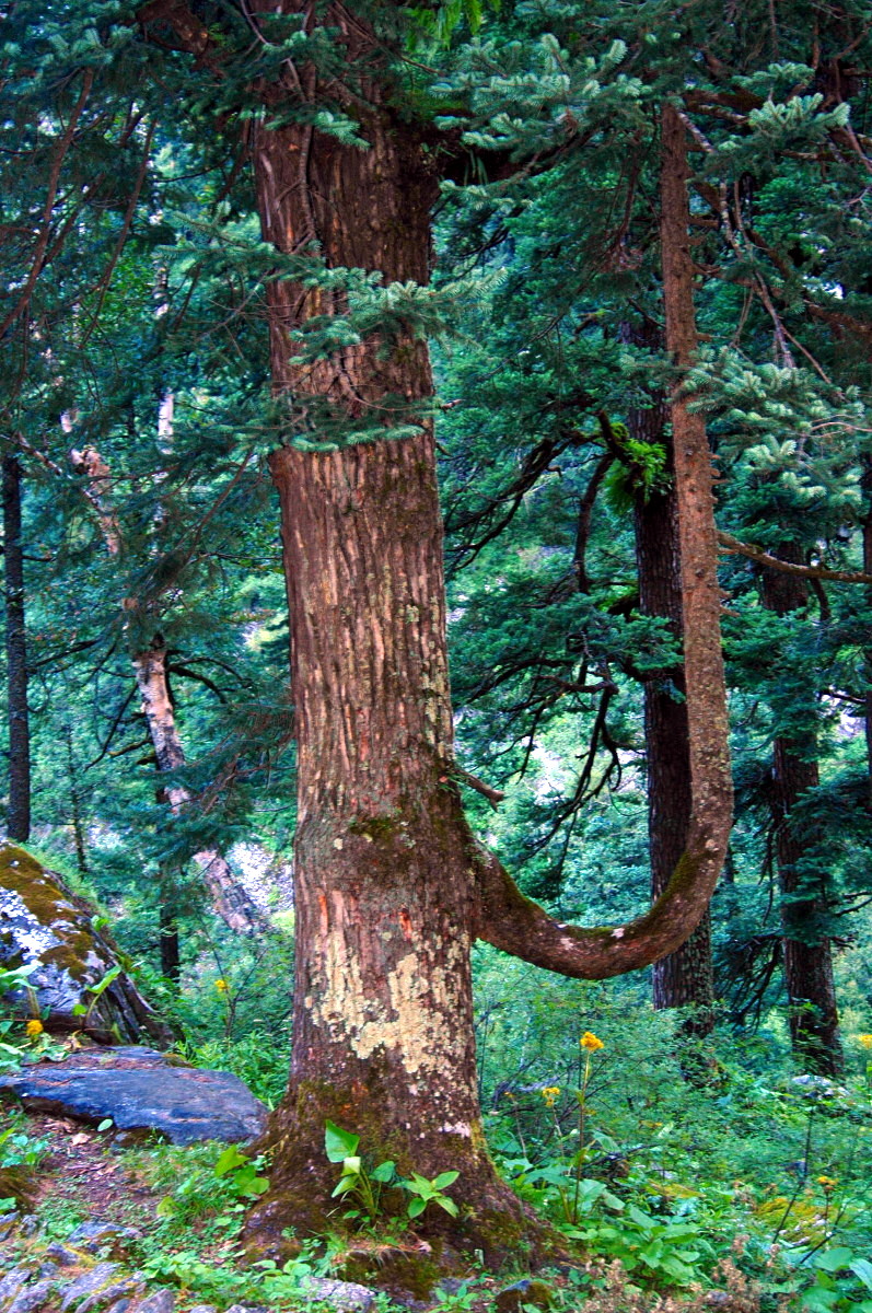 DSC_0164.JPG