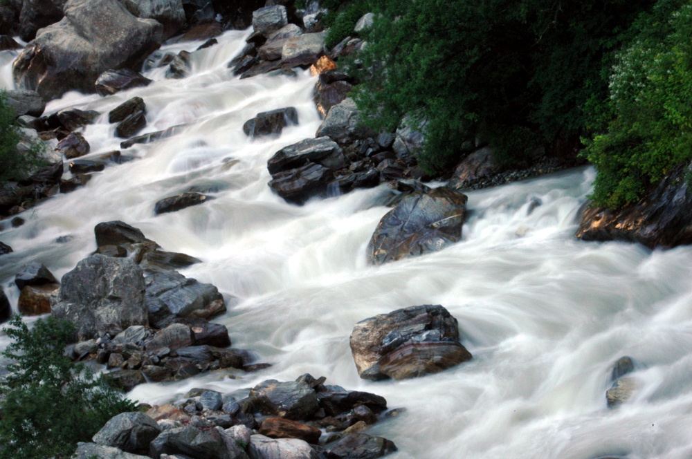 DSC_0169.JPG