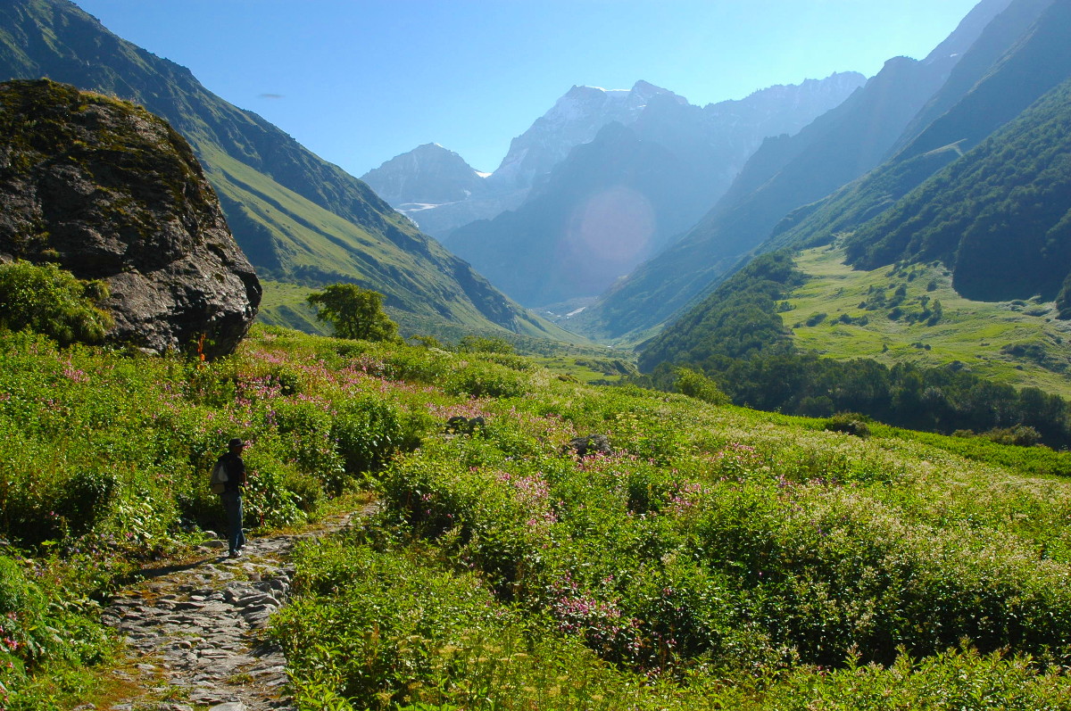 DSC_0186.JPG