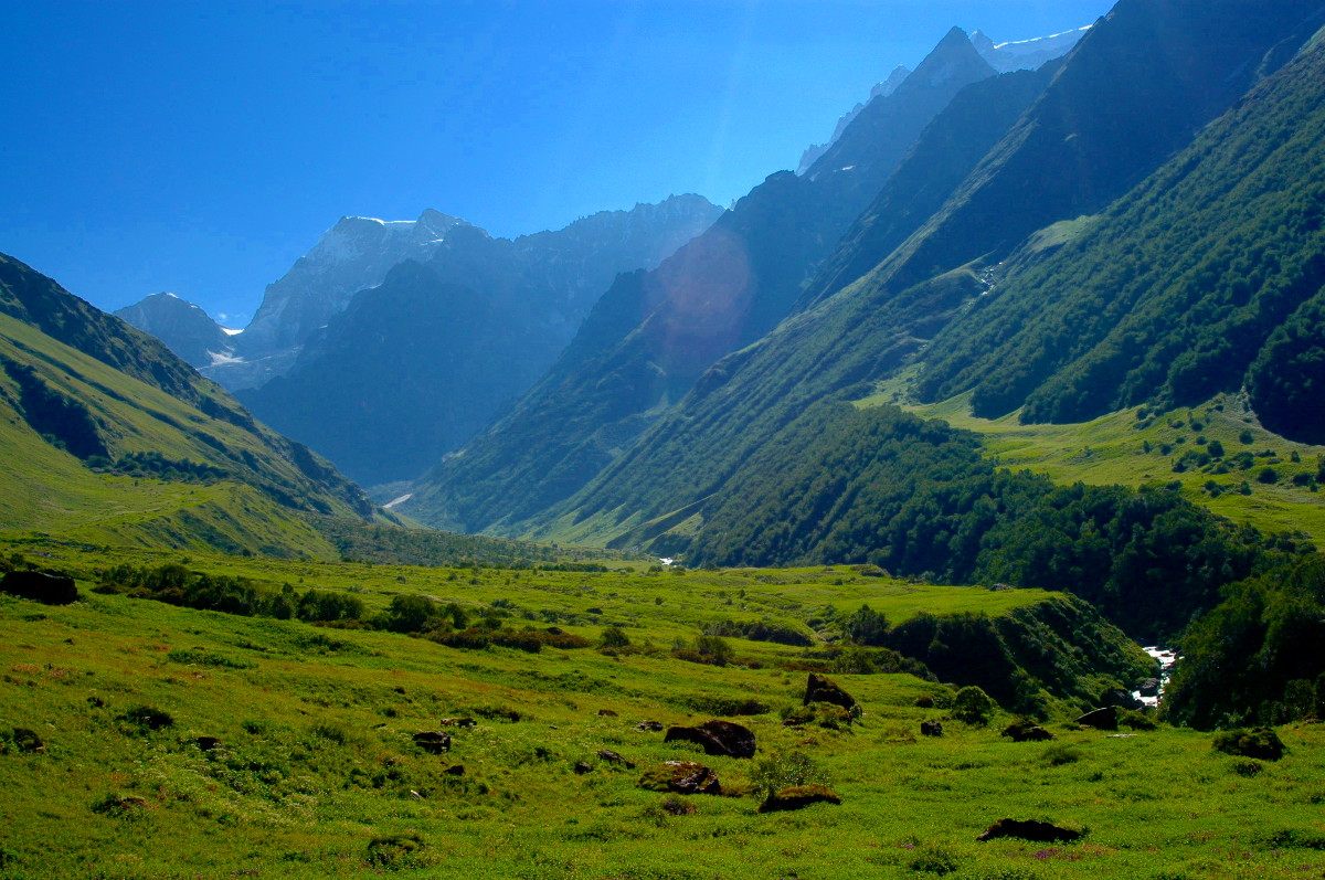 DSC_0190.JPG