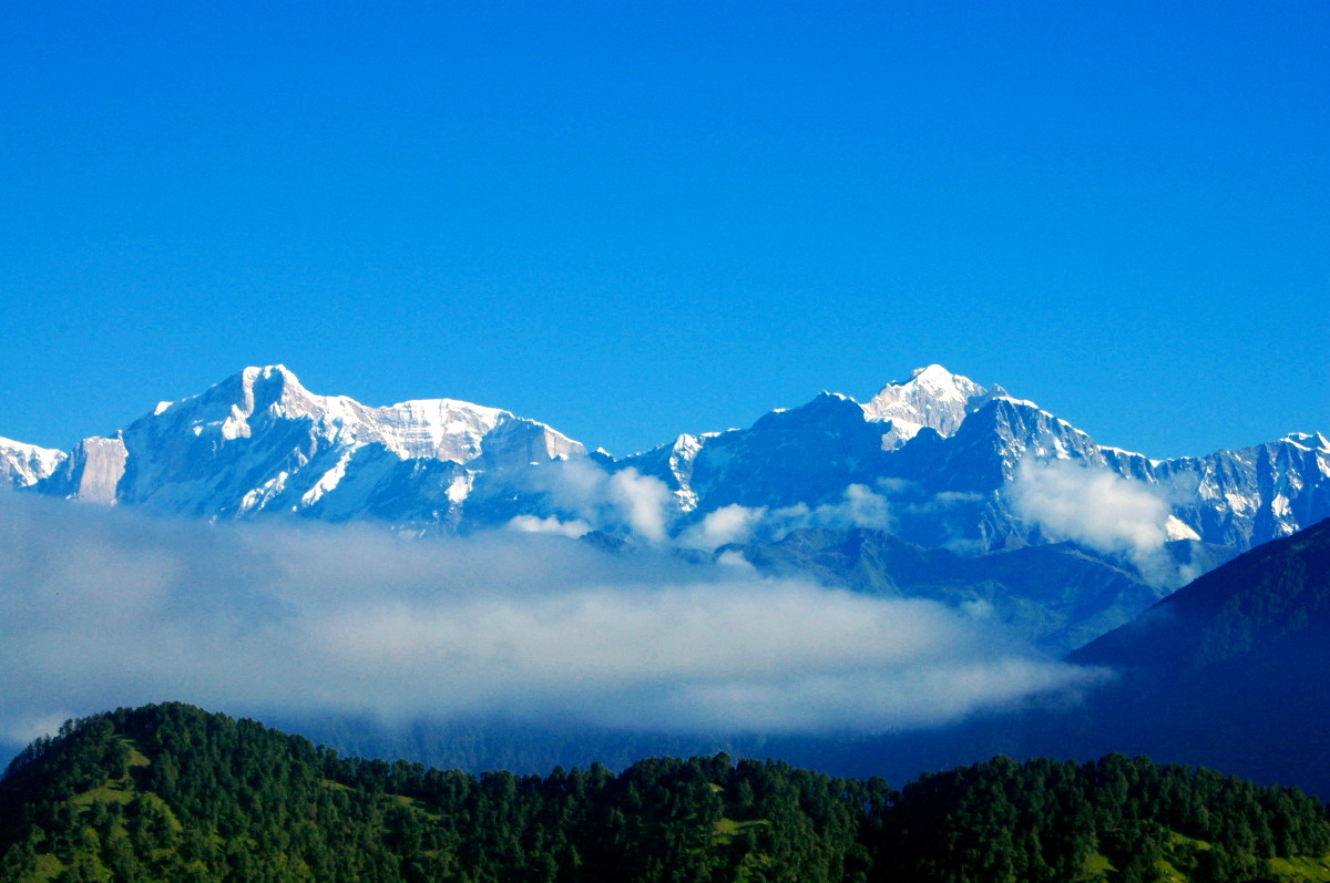 DSC_0216.JPG
