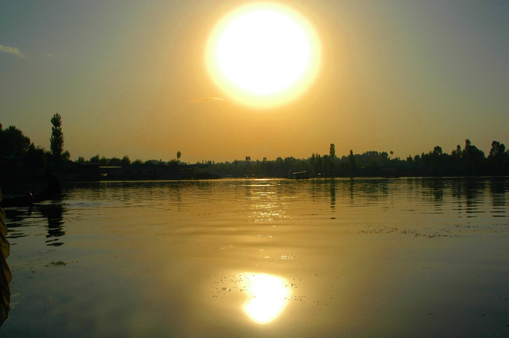 DSC_0225.JPG