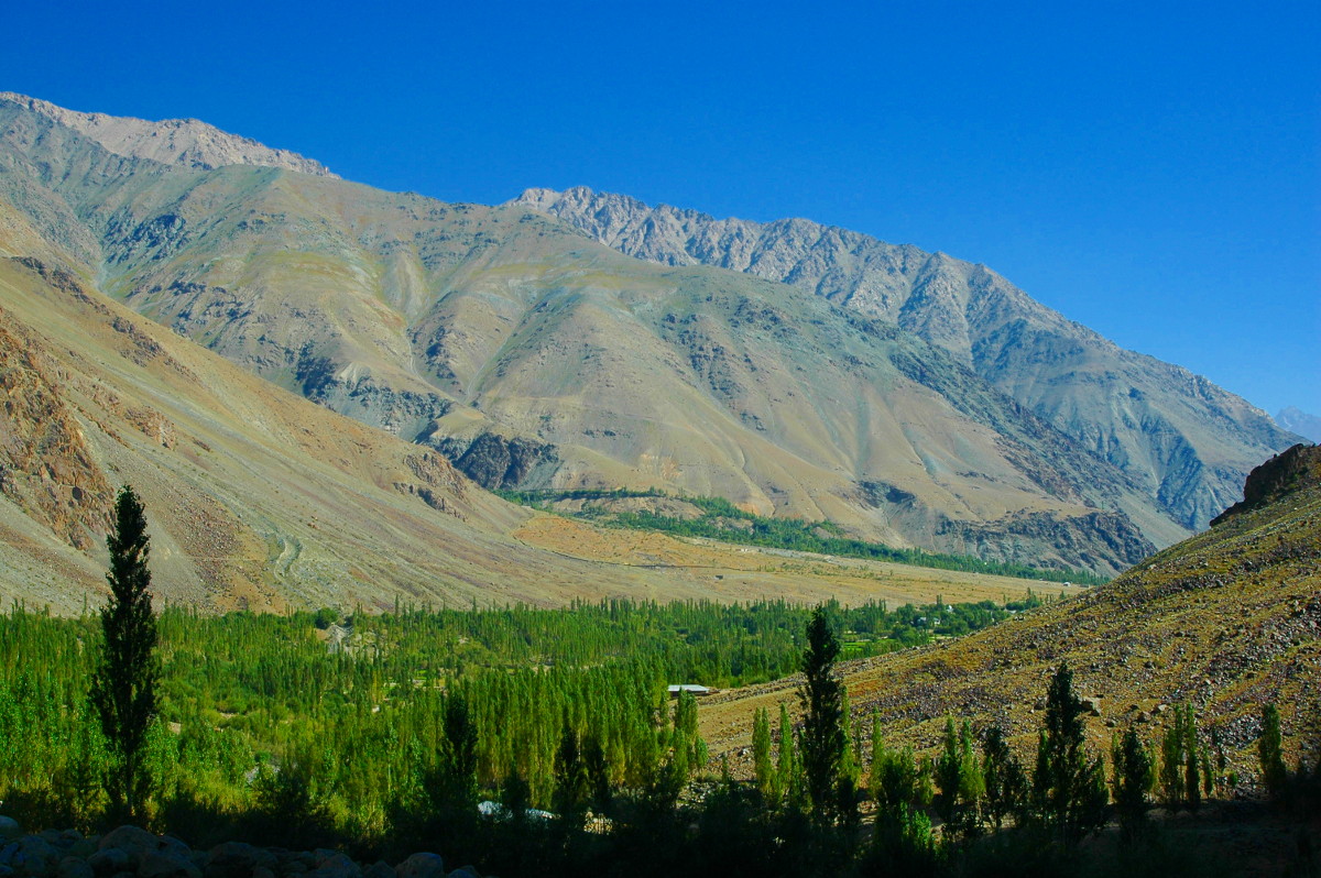 DSC_0248.JPG