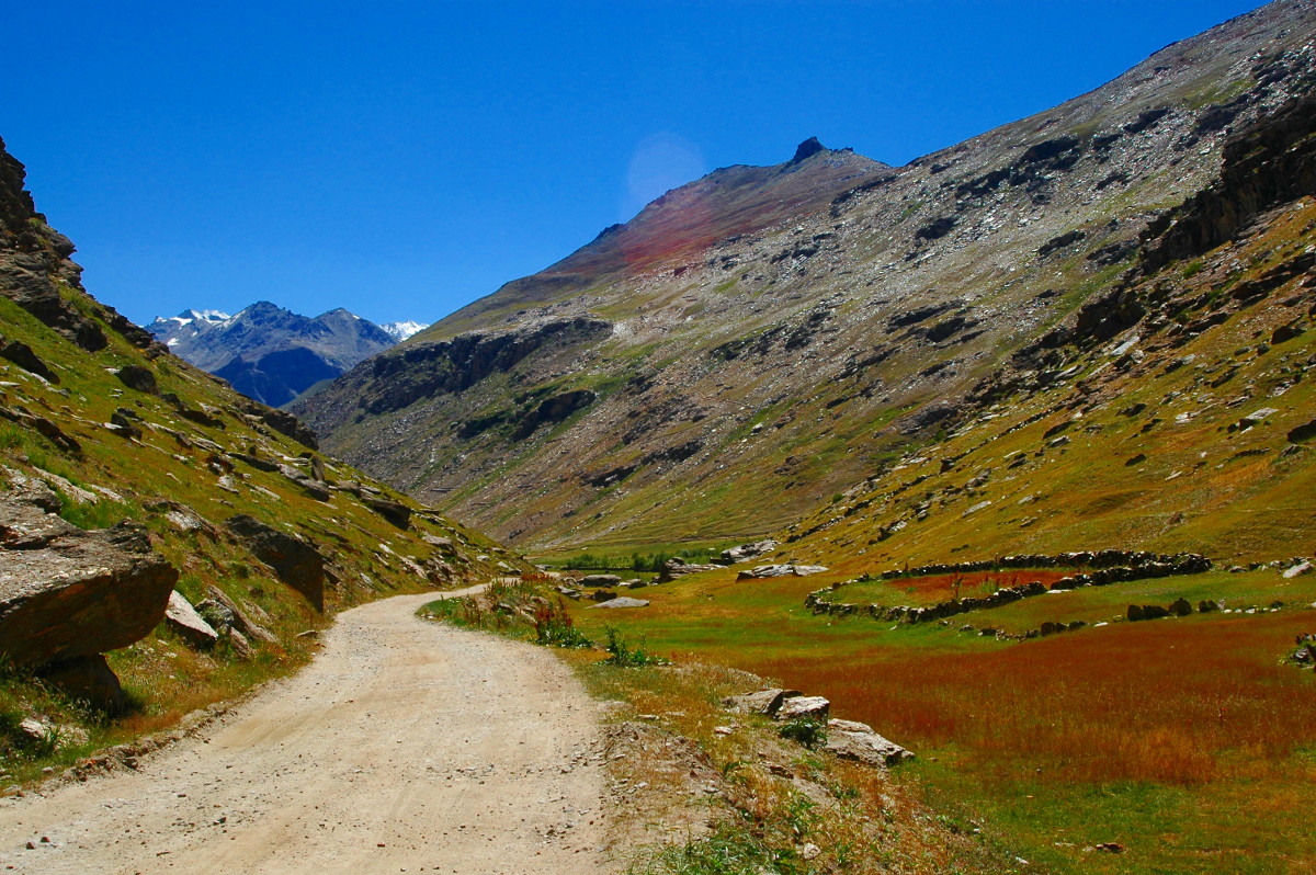 DSC_0255.JPG