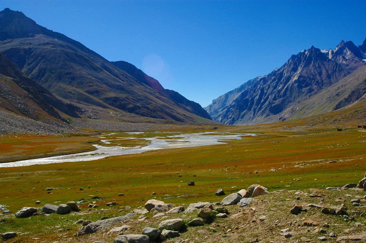 DSC_0263.JPG