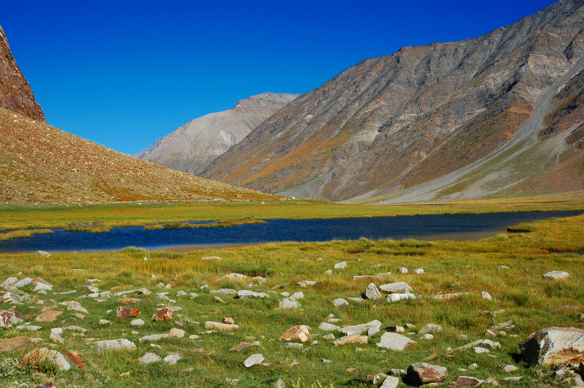 DSC_0268.JPG