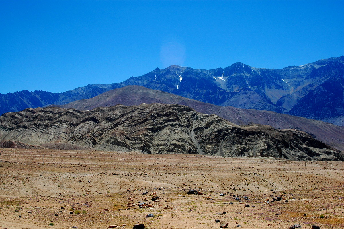 DSC_0300.JPG