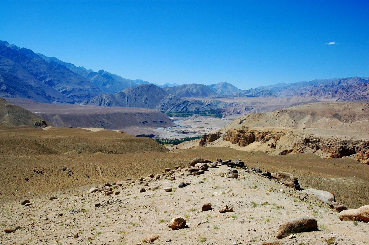 DSC_0303.JPG