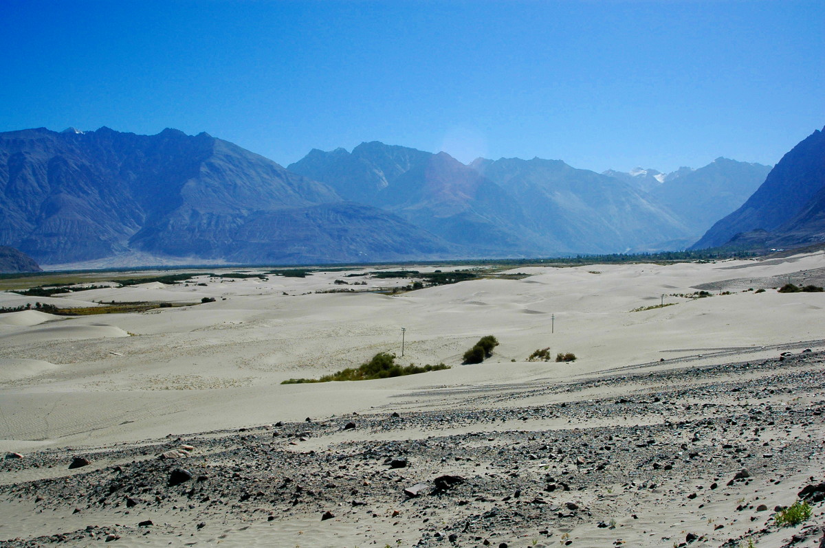 DSC_0329.JPG
