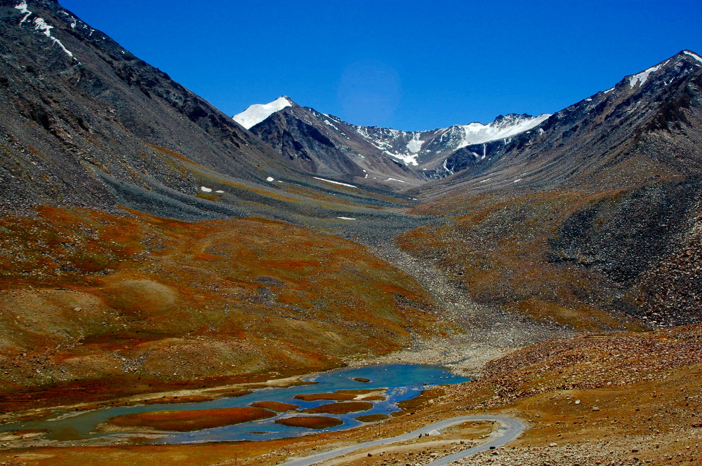 DSC_0335.JPG