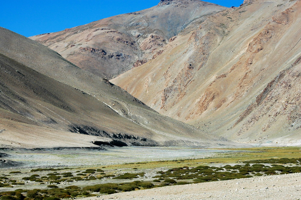 DSC_0341.JPG