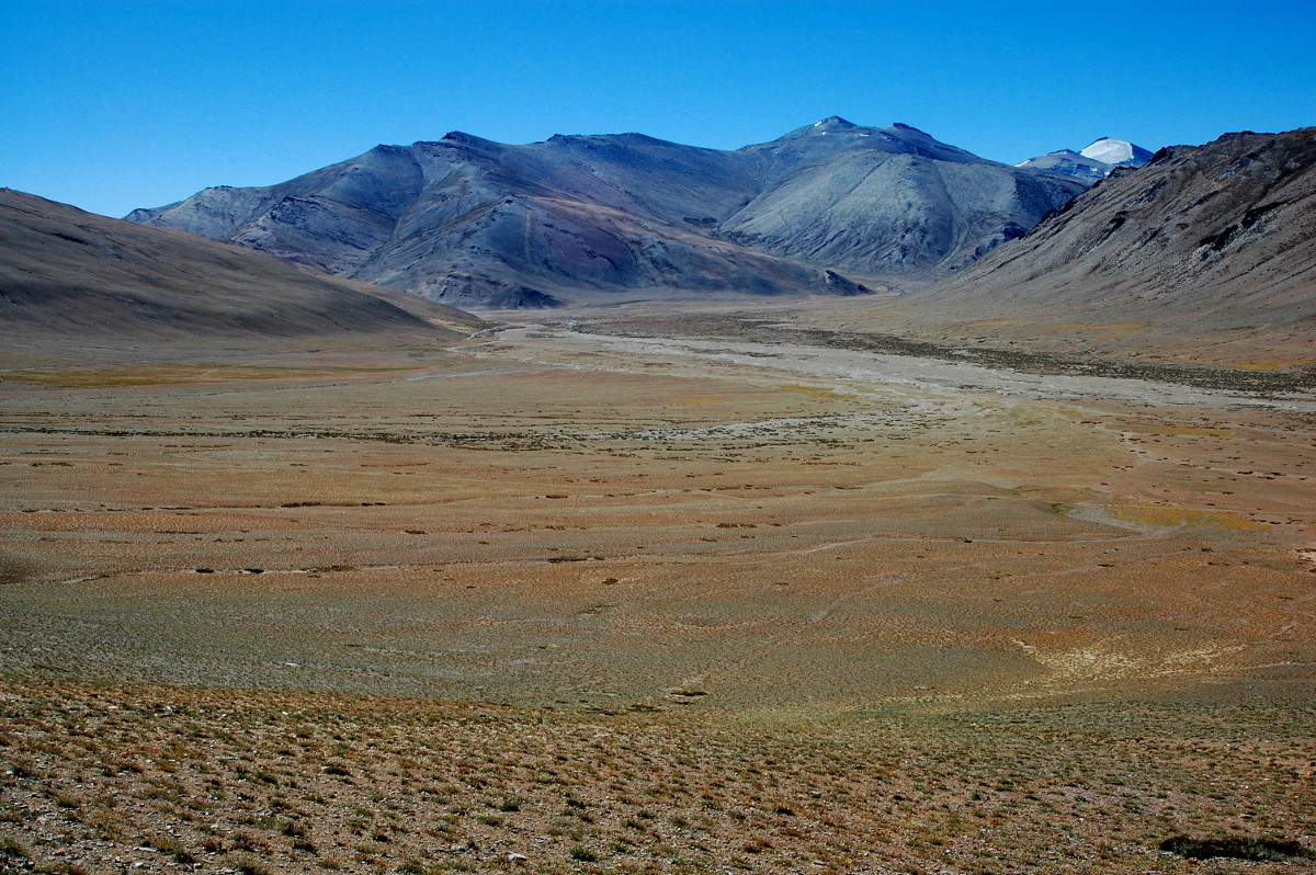 DSC_0348.JPG