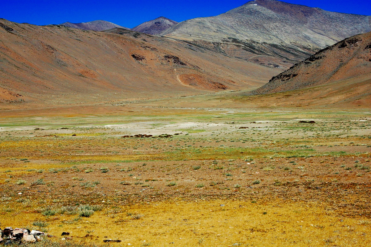 DSC_0351.JPG
