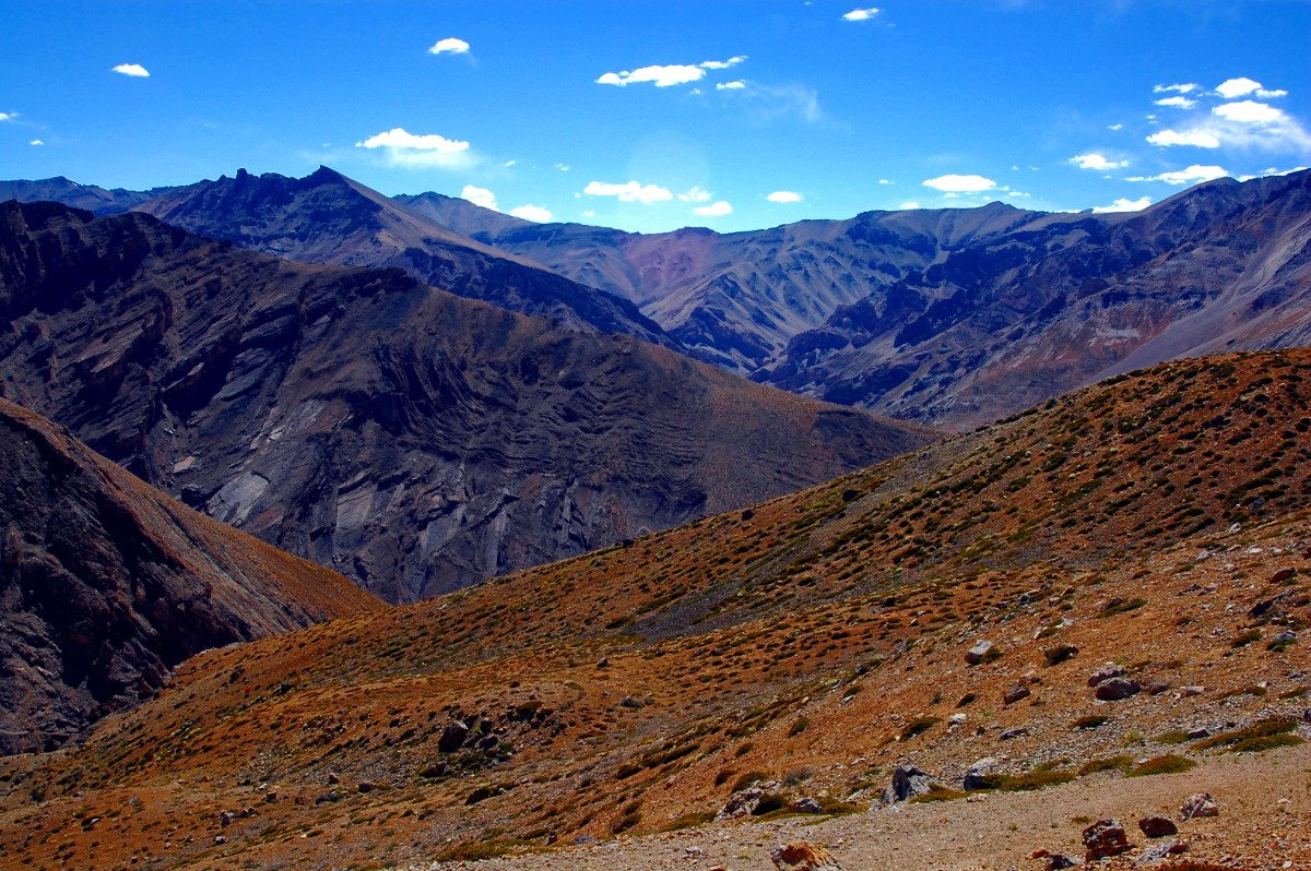DSC_0355.JPG