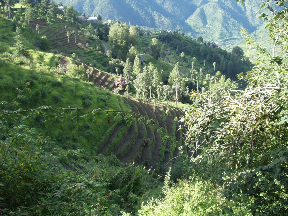 P1010021.JPG