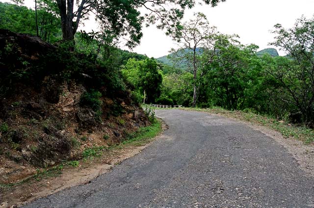 Road Ahead