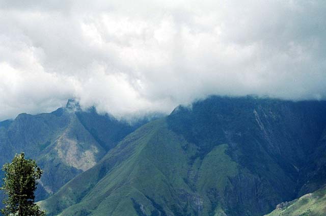Monsoon backdrop