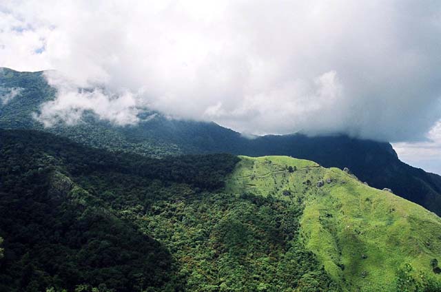 Top Station View 1