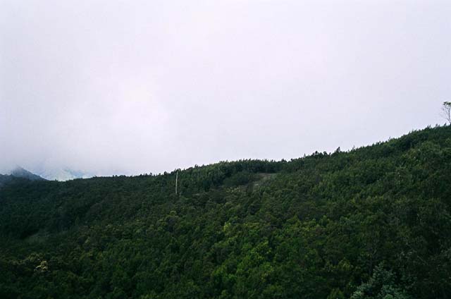 Tower Shot 5