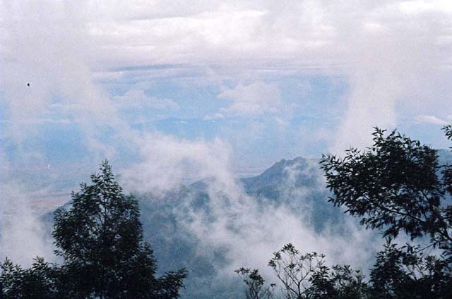 Fog Shot 2