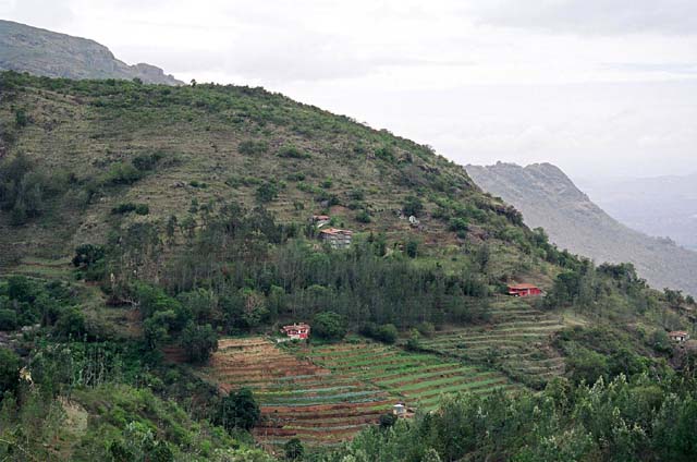 Steppes