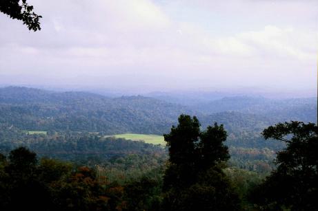 Near Trail Head