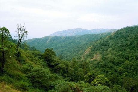 Green View