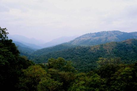 Green View