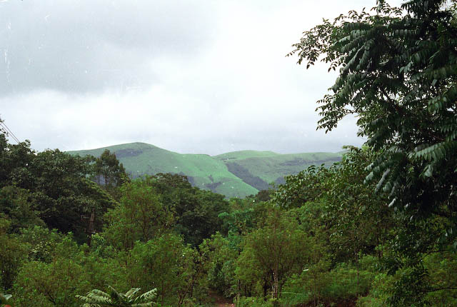 wf-03.jpg