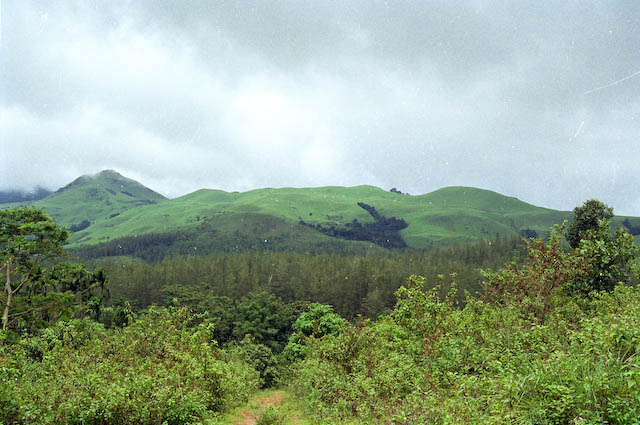 wf-10.jpg
